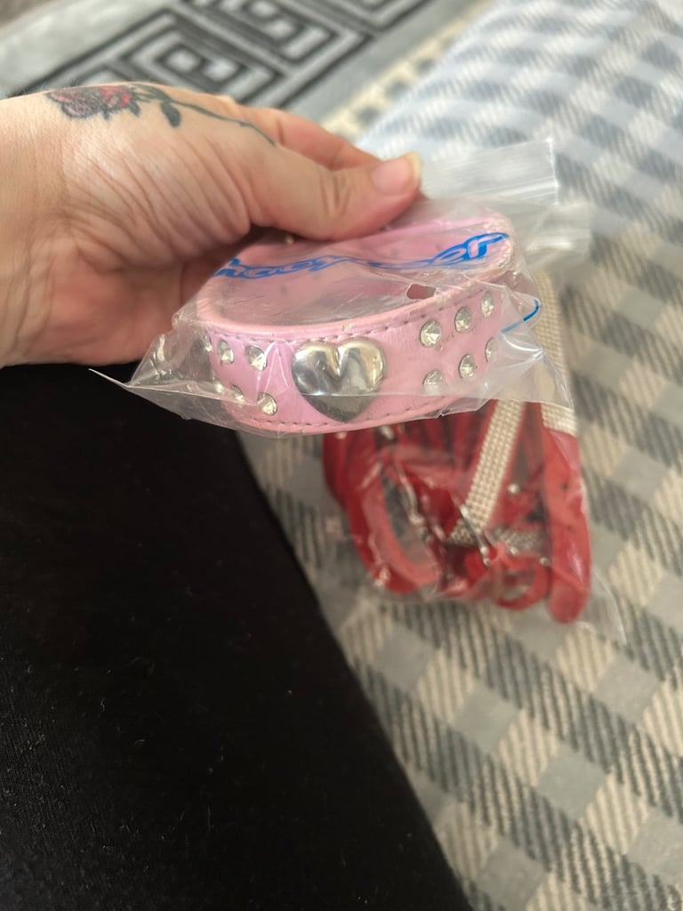 Dog collar and lead 