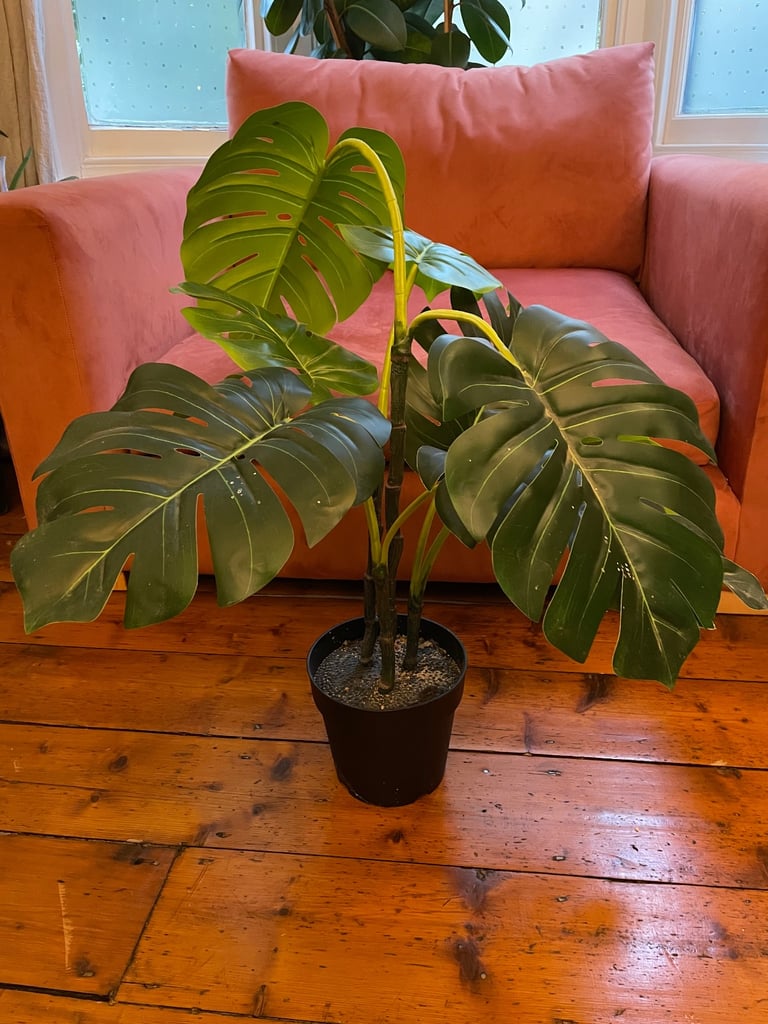 Fake monstera plant