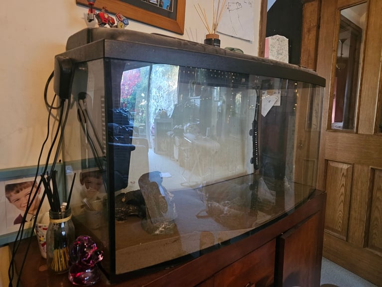Curved fish tank for sale