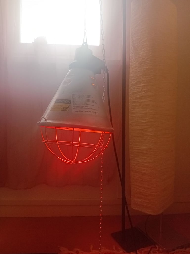 image for Infrared lamp with holder