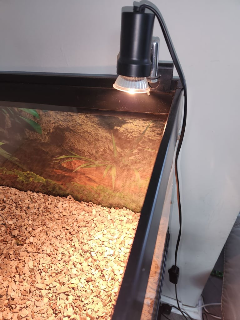 image for Reptile Heat Lamp Clamp Kit