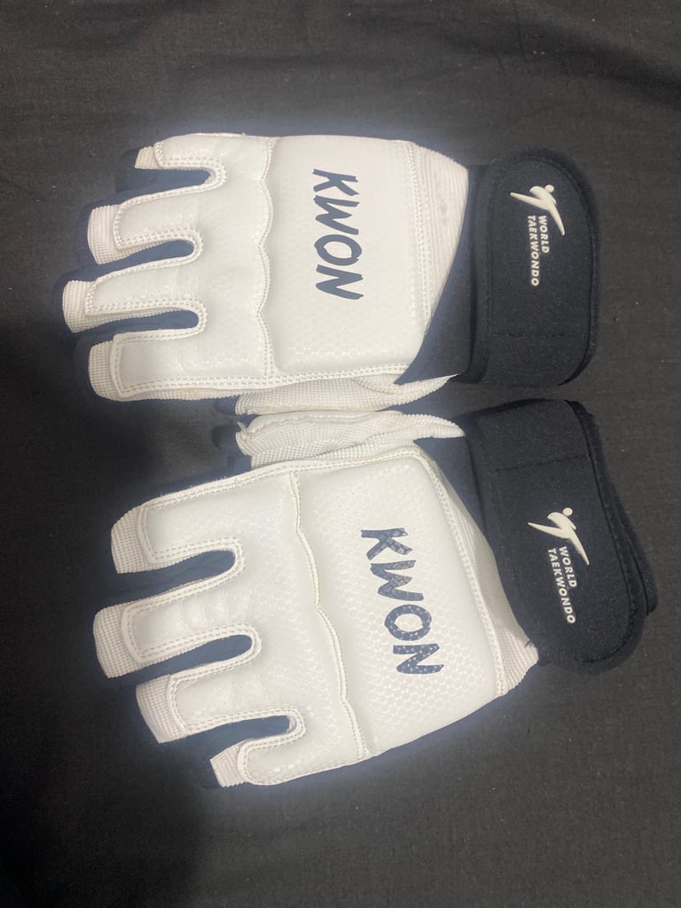 image for World taekwondo gloves