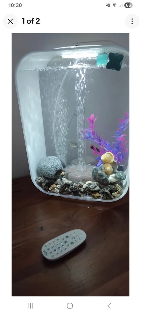 image for Biord Aquariam  / Fish Tank + Accessories. 