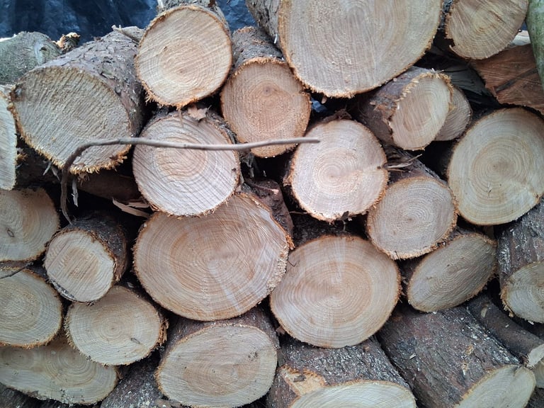 Logs  logs logsogs logs logs 