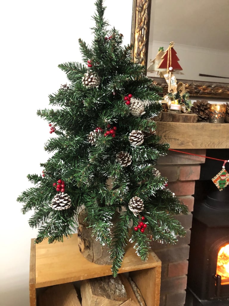 image for Christmas tree on tree stump