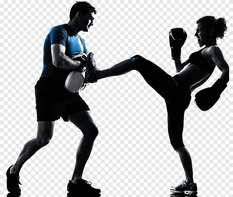 image for Beginner Kickboxing 