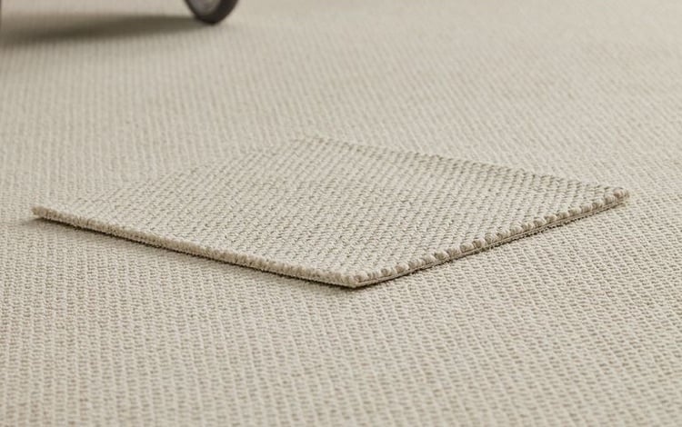 Cream Carpet 2.3 x 2.9m brand new