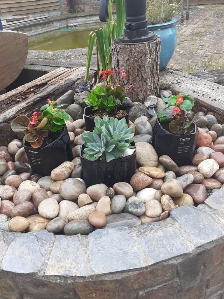 4 billet solid aluminium pots