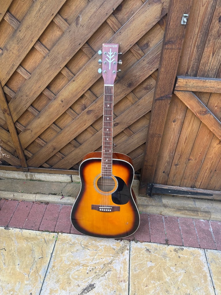 Sretton Payne SPD1 SB Sunburst Acoustic Guitar 