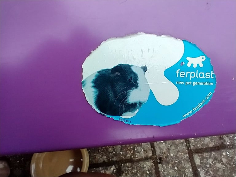 Guinea pig cage