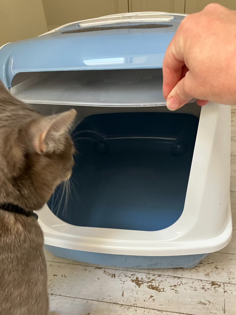 Cat litter tray with hood