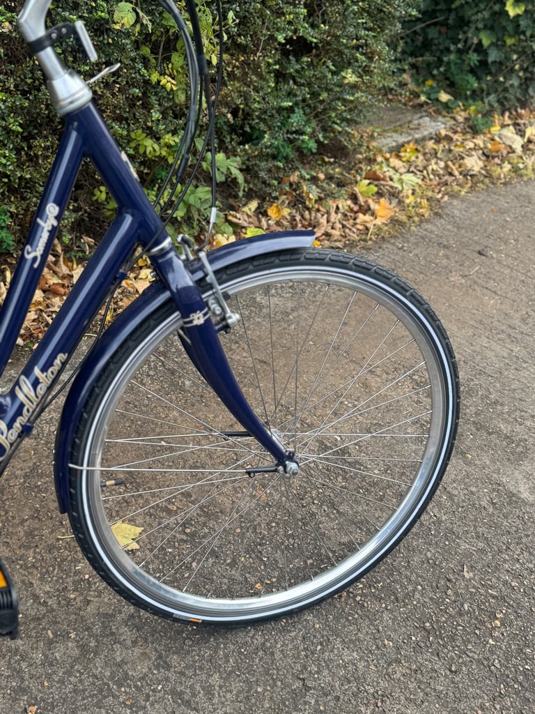 Ladies Electric Bike 