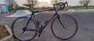 Dolan Full Carbon Road Bike XXL 60cm Full Campagnolo Chorus 10speed Groupo Fast Mavic Equipe Wheels