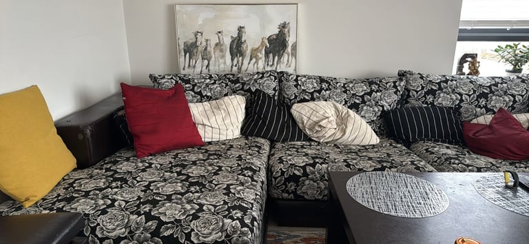 Great sofa fas moving home