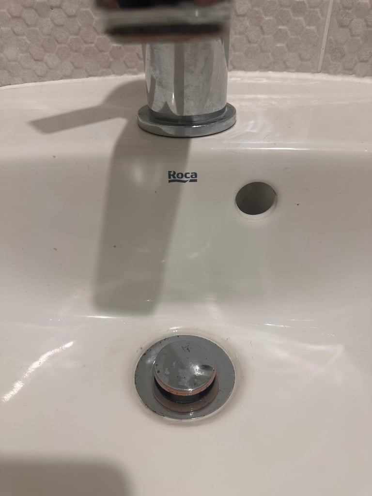 Roca cloakroom Basin and pedestal