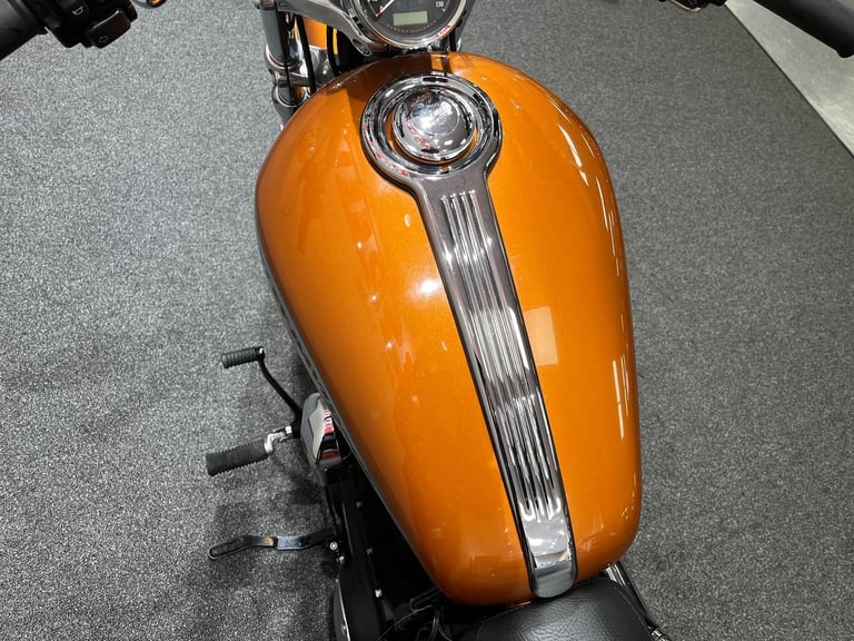 Harley-Davidson 1200 Custom Sportster Limited Edition, 2017