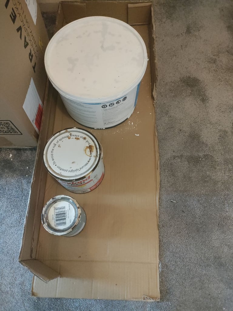 Having a clear out of leftover paint Gloss and Matt Brilliant White