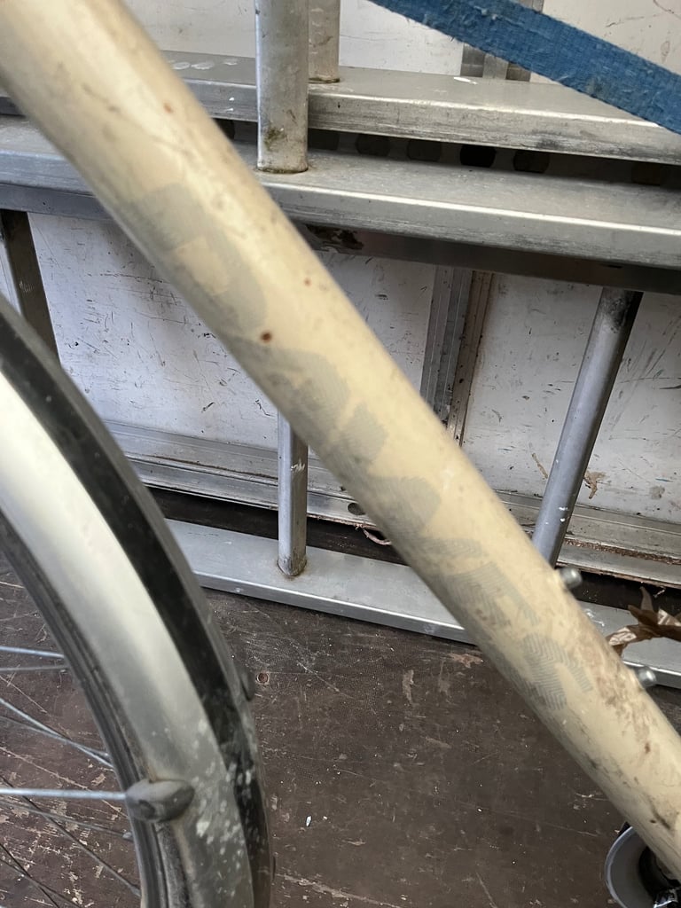 Dawes Vintage Woman’s Bike