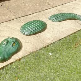 3 Piece Submerged Alligator / Crocodile Garden Ornament Bright Green Painted Concrete