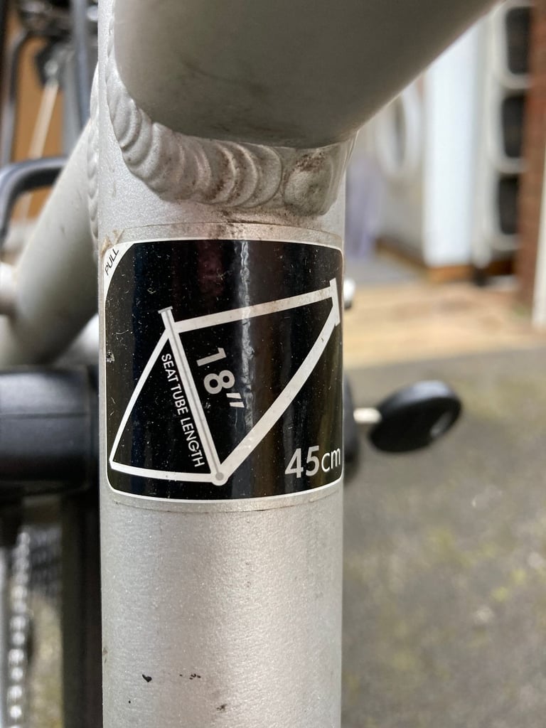Raleigh Motus electric bike