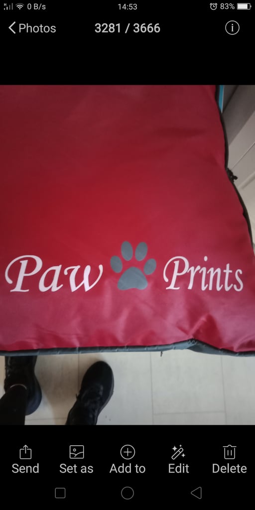 Large New Dog Bed