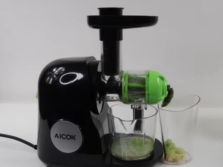 image for Juicer Masticating Slow Juicer Extractor