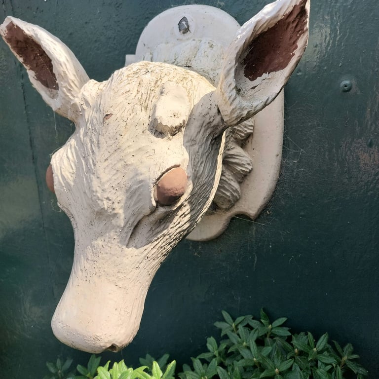 image for Ornamental Wooden Bulls Head