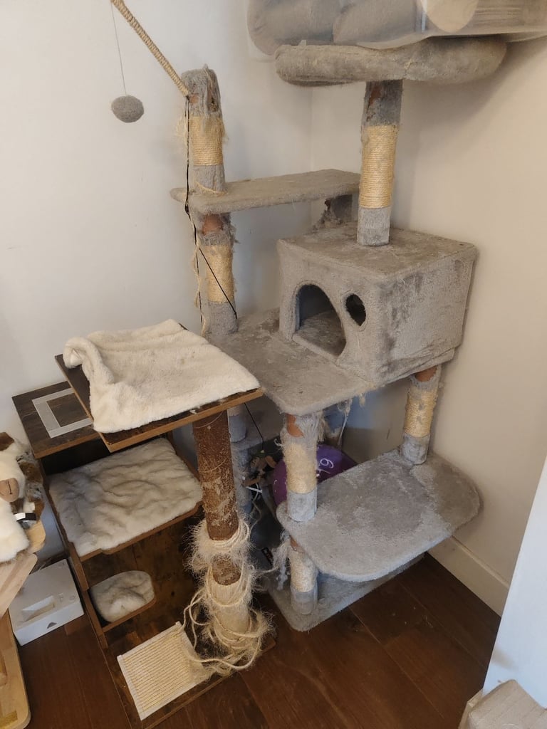 Very used cat trees