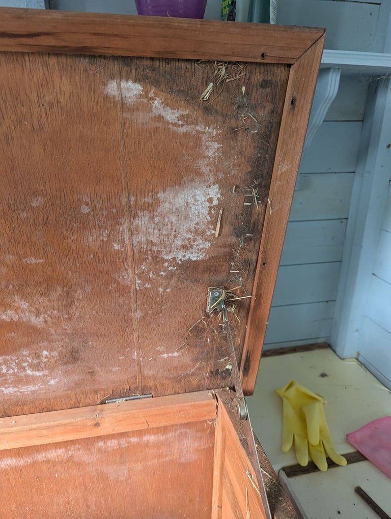 Guinea pig hutch - free!