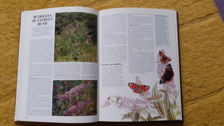 Wildlife On Your Doorstep Readers Digest