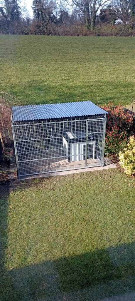 Dog Pen 10ft x 6ft with gate and roof