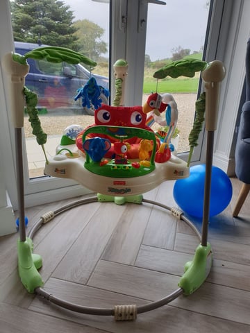 Fisher-Price Jumperoo Baby Activity Center, Interactive Baby