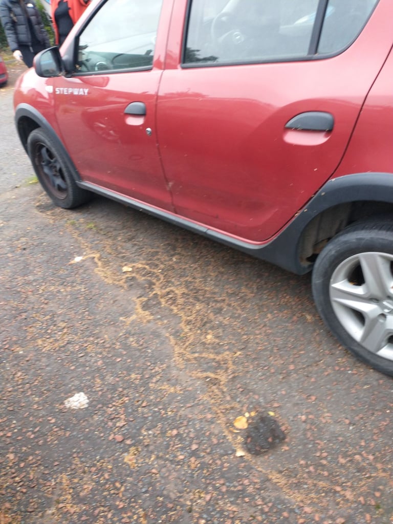 Dacia, SANDERO STEPWAY, Hatchback, 2015, Manual, 898 (cc), 5 doors