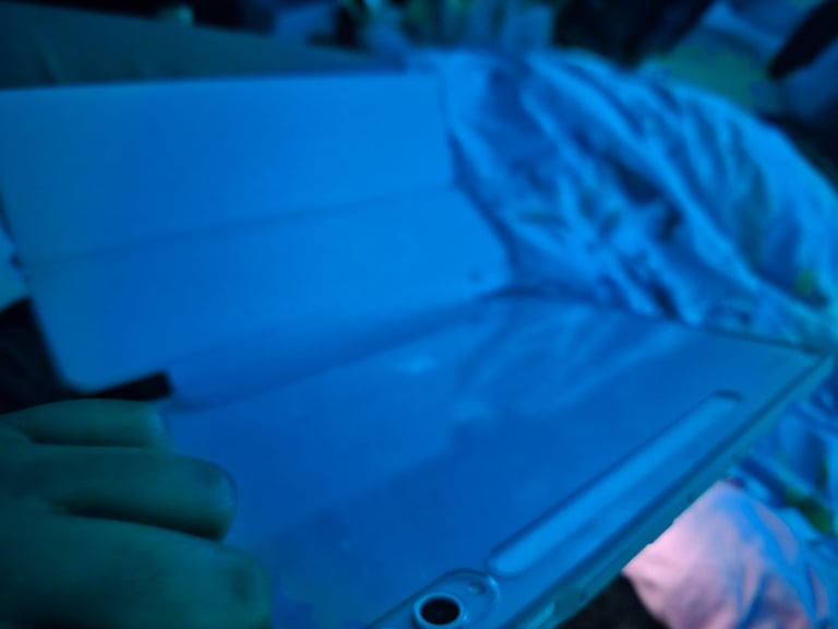 Samsung  galaxy tablet S10+ AND lavender buds 2 pro 