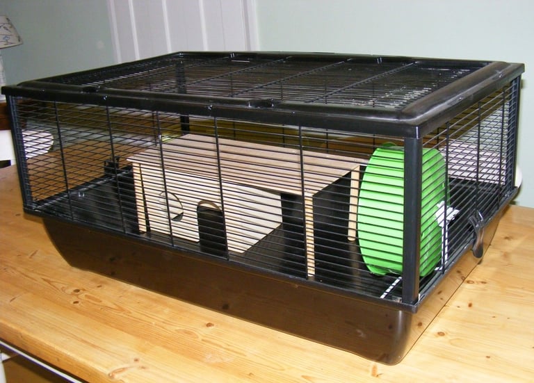 Hamster Cage & Accessories - FREE