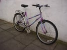 ld School Mountain/ Commuter Bike by Raleigh , Purple, JUST SERVICED / CHEAP PRICE!!