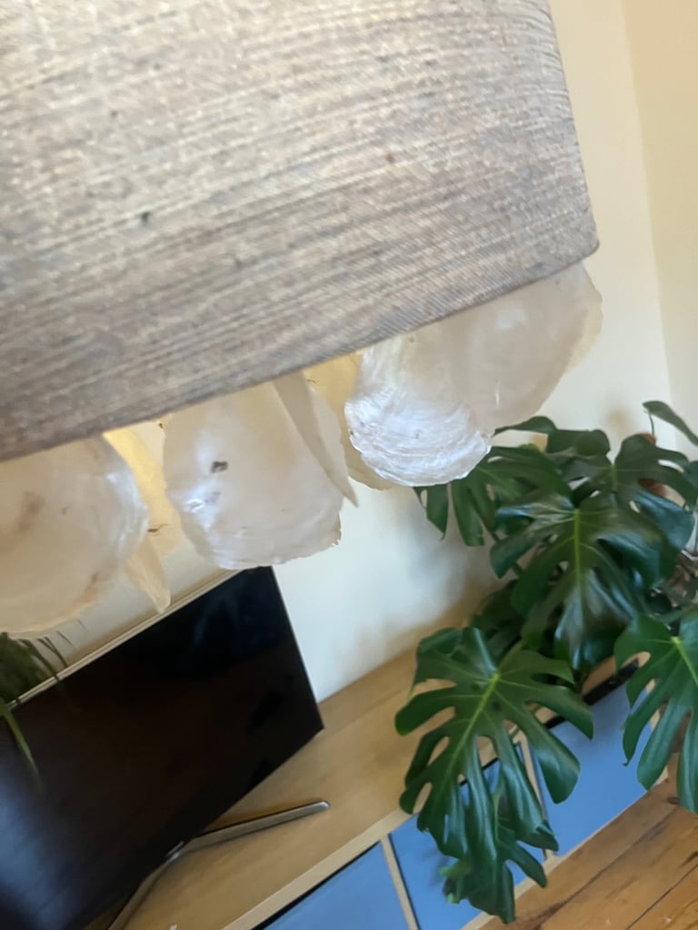 Stunning lampshade with pearl accents 
