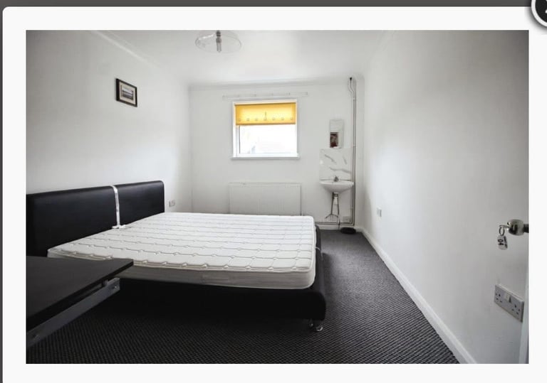 Room for Rent 