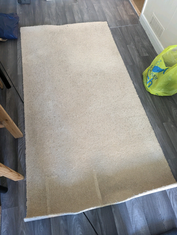 Scrap carpet (103 X 197cm) FREE