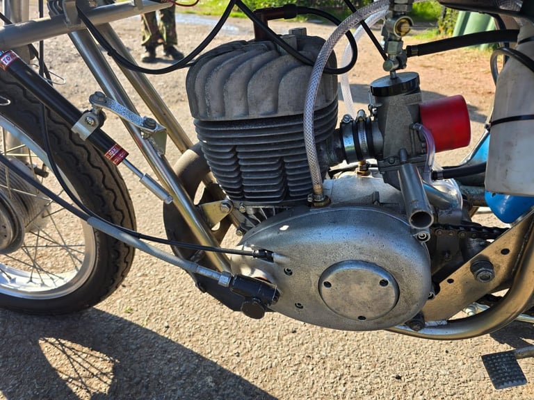 DMW HORNET 