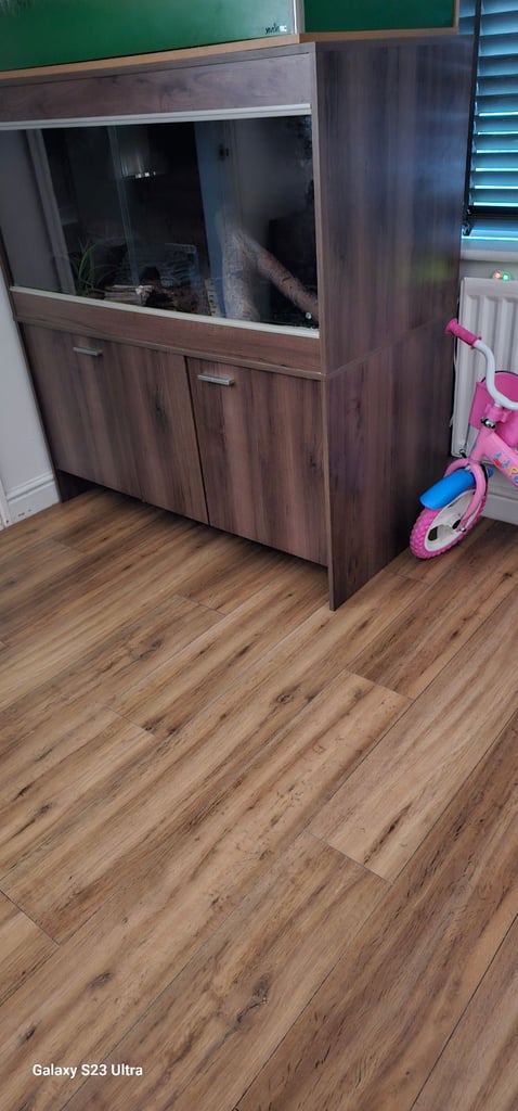 Large bearded dragon vivarium 