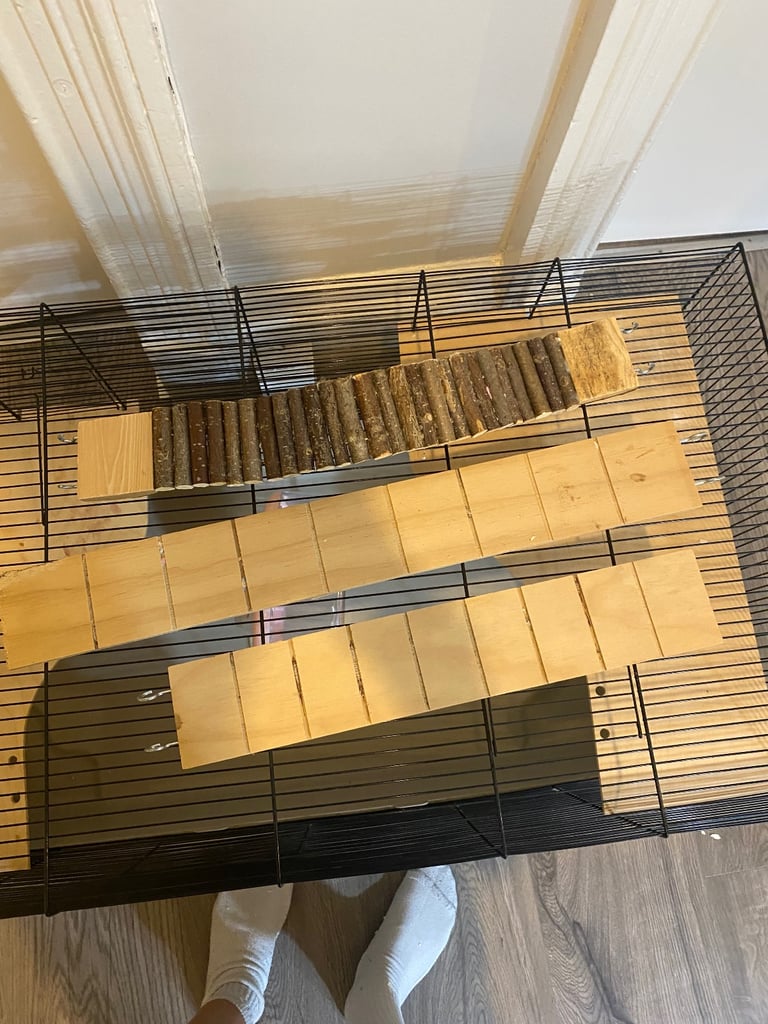 Hamster Cage