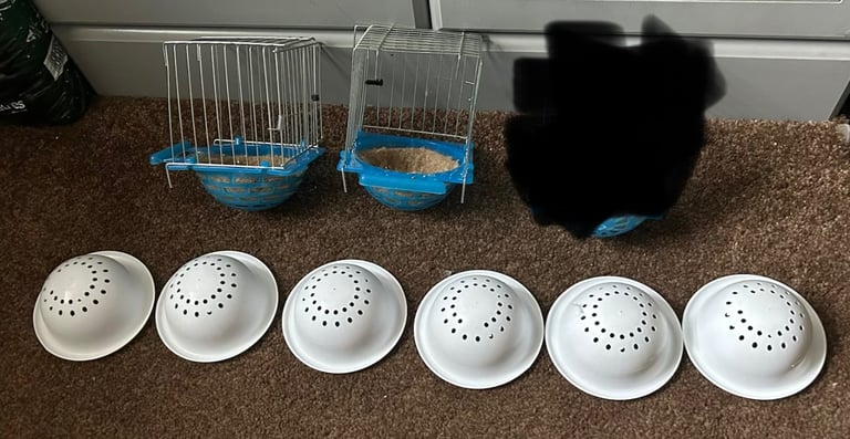 Finch nests £15 for all