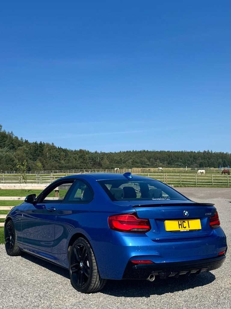 BMW 2 SERIES 1.5 218i M Sport Coupe 2018