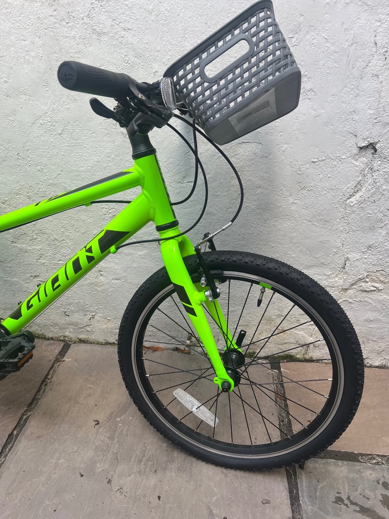 Giant ARX 20 kids bike 20” (2021)