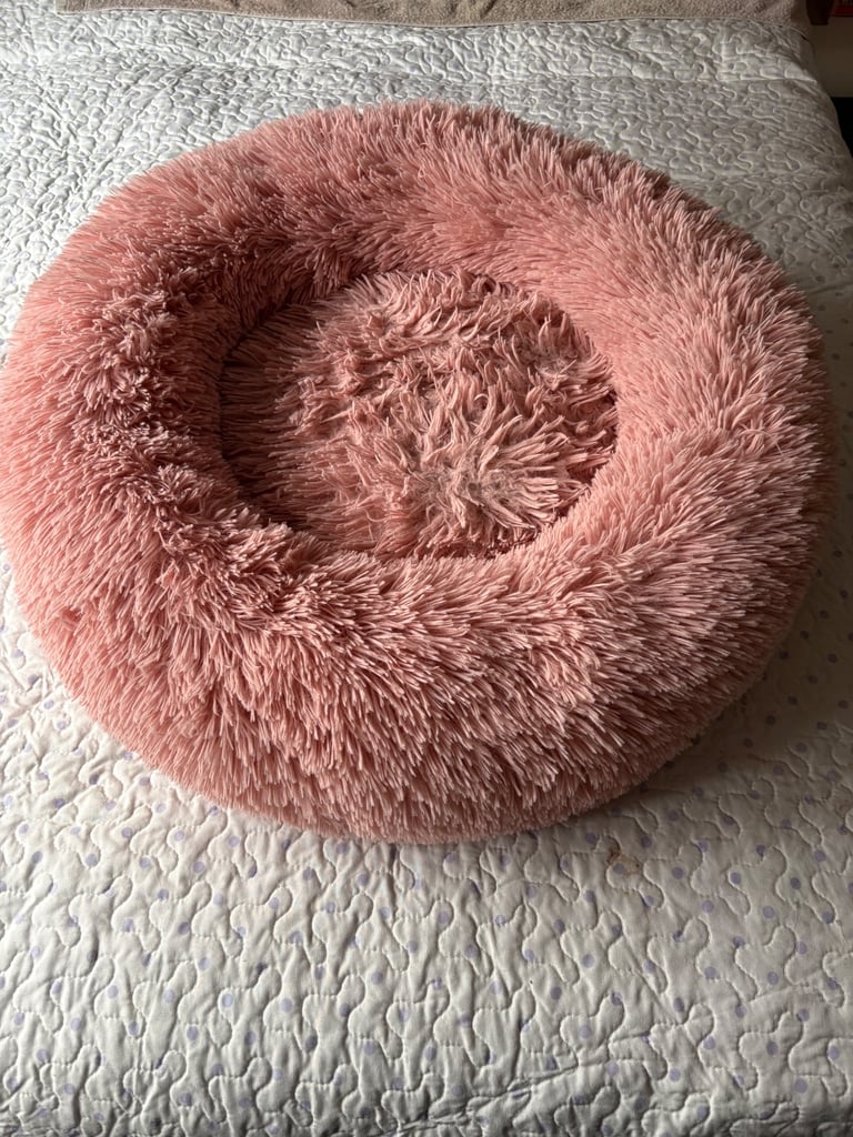 Circular Cat Bed