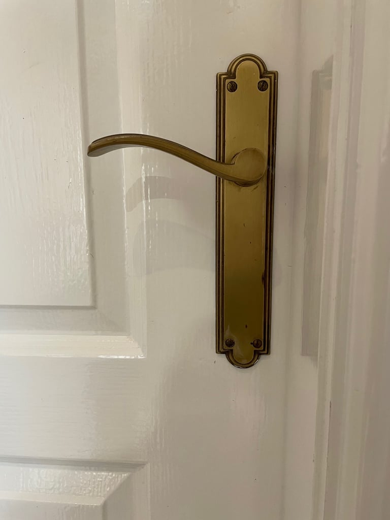 image for Antique brass door handles