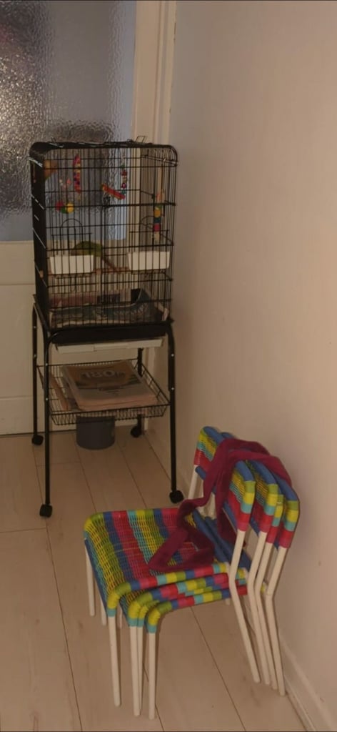 Parrot cage 