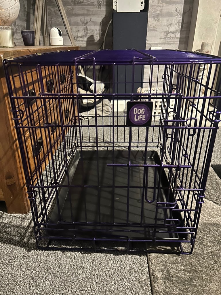 image for Purple dogs life crate 