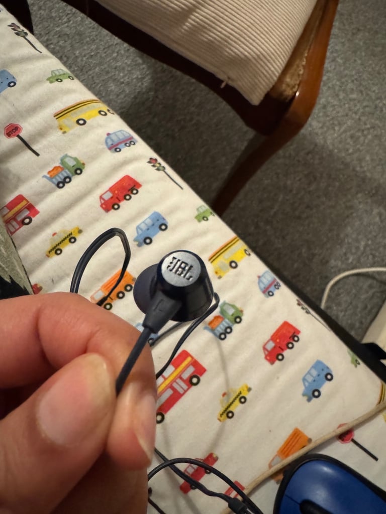 JBL Earphones wired